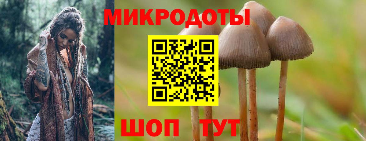Галлюциногенные грибы мицелий  Вход с VPN  хочу наркоту  Подольск 