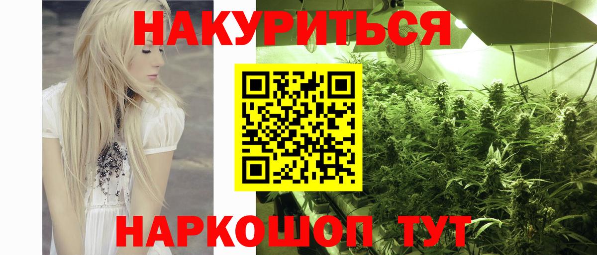 Канабис сатива Подольск